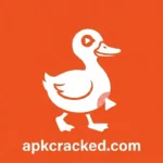 Dodo Webview APK Logo Icon