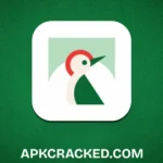 Send Tap Tap Apk